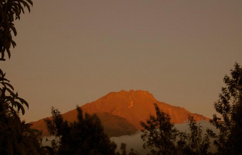 Twiga Lodge, ANP image 7